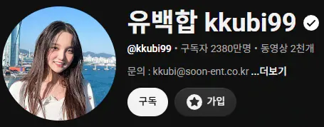 한국 천만유튜버 특징