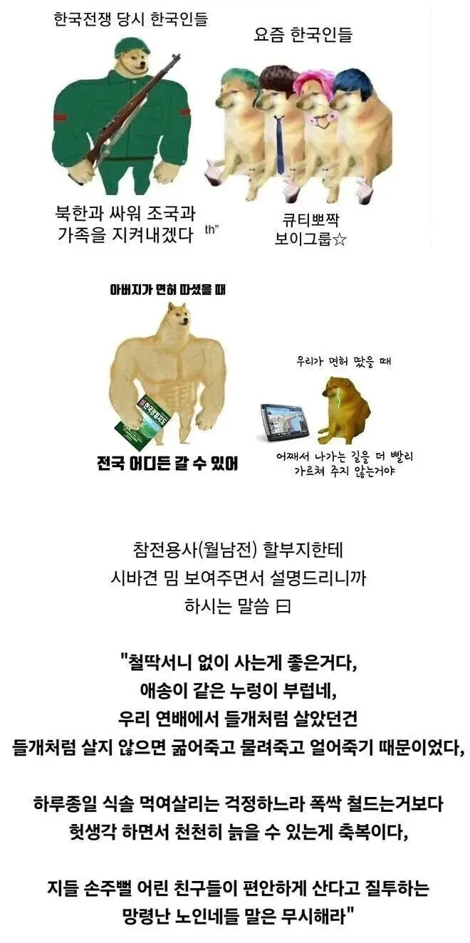 시바견 밈을본 할아버지 반응
