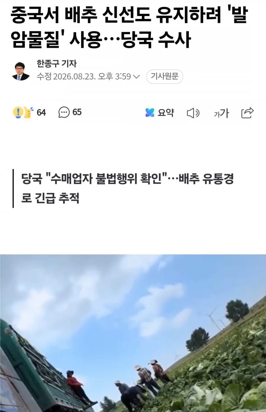 중국산 '발암 배추' 논란
