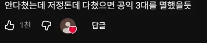 공익 저격 유튜버 영상 댓글