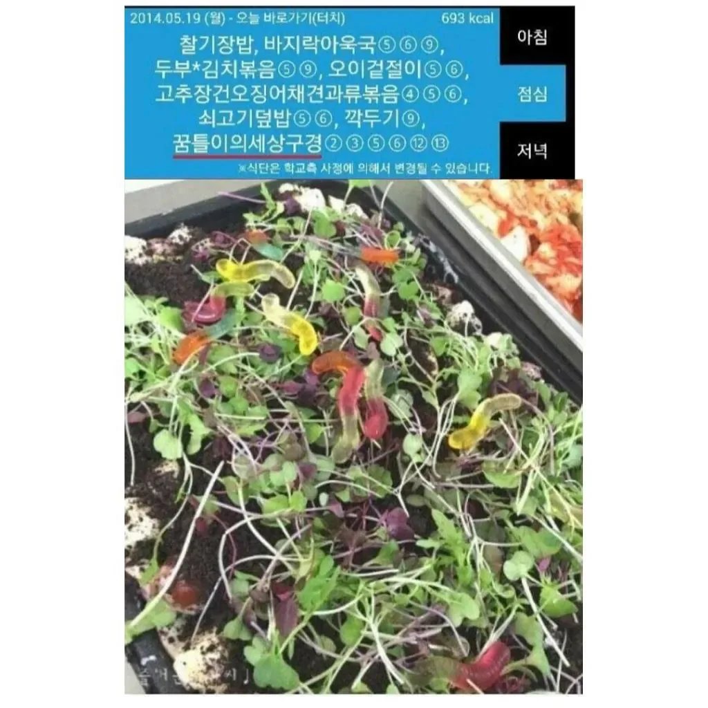 자퇴 마렵게 하는 학교 급식