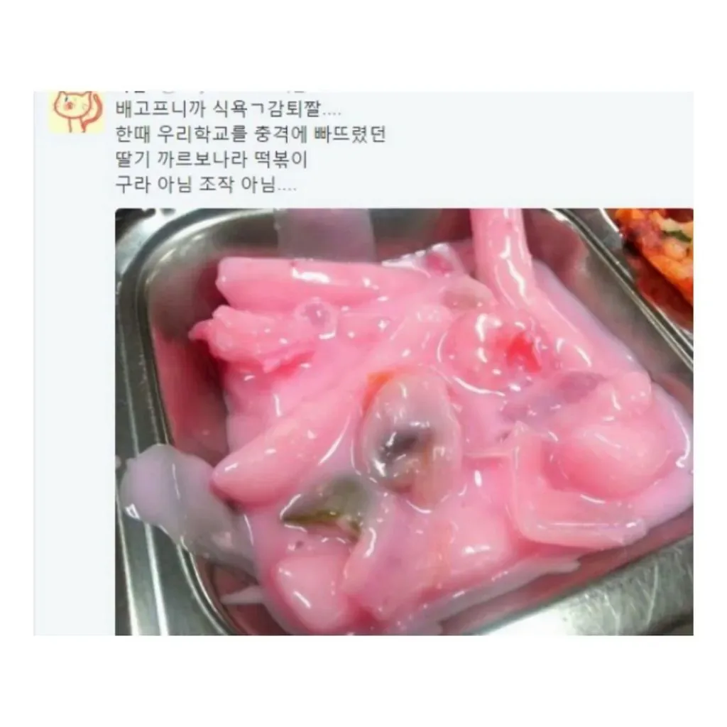 자퇴 마렵게 하는 학교 급식