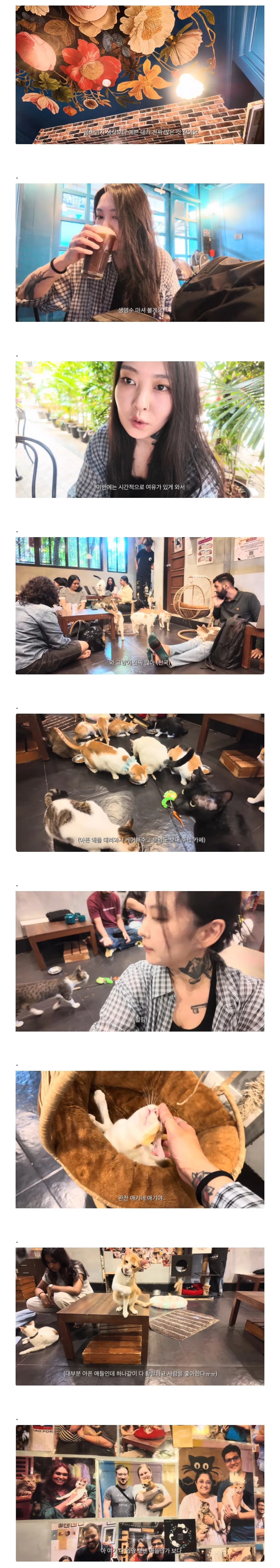 그 문신녀 인도 고양이카페
