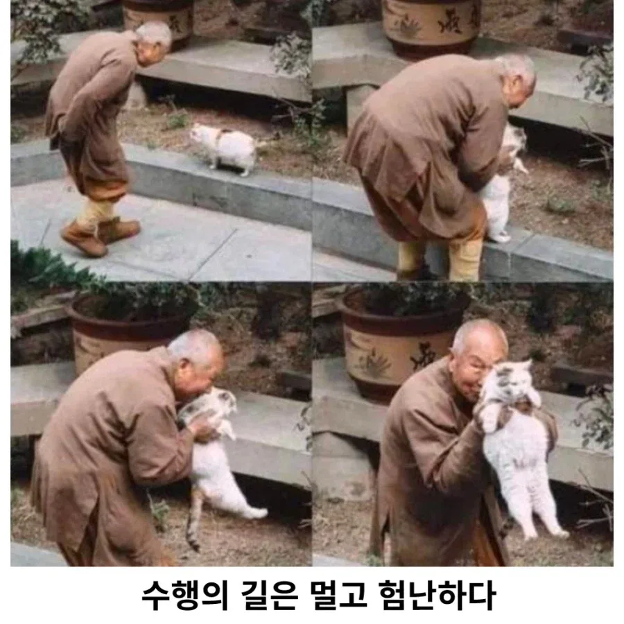 욕망을 다 끊어낸 스님도 못 참는 것