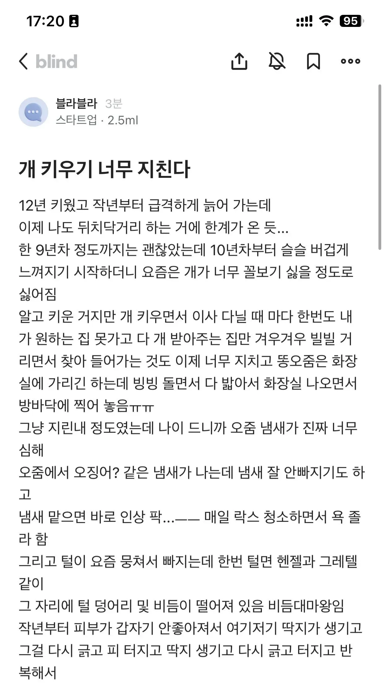 1000068462.webp 노견되니까 개 키우기 지친다
