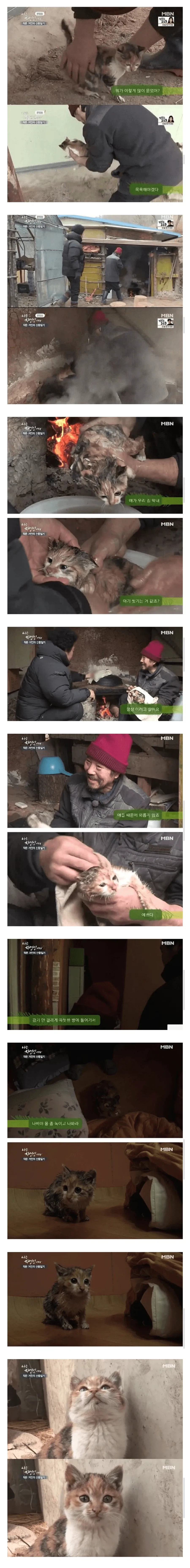 갑자기 고양이를 산채로 솥에 넣는 나는 자연인이다 방송장면.jpg