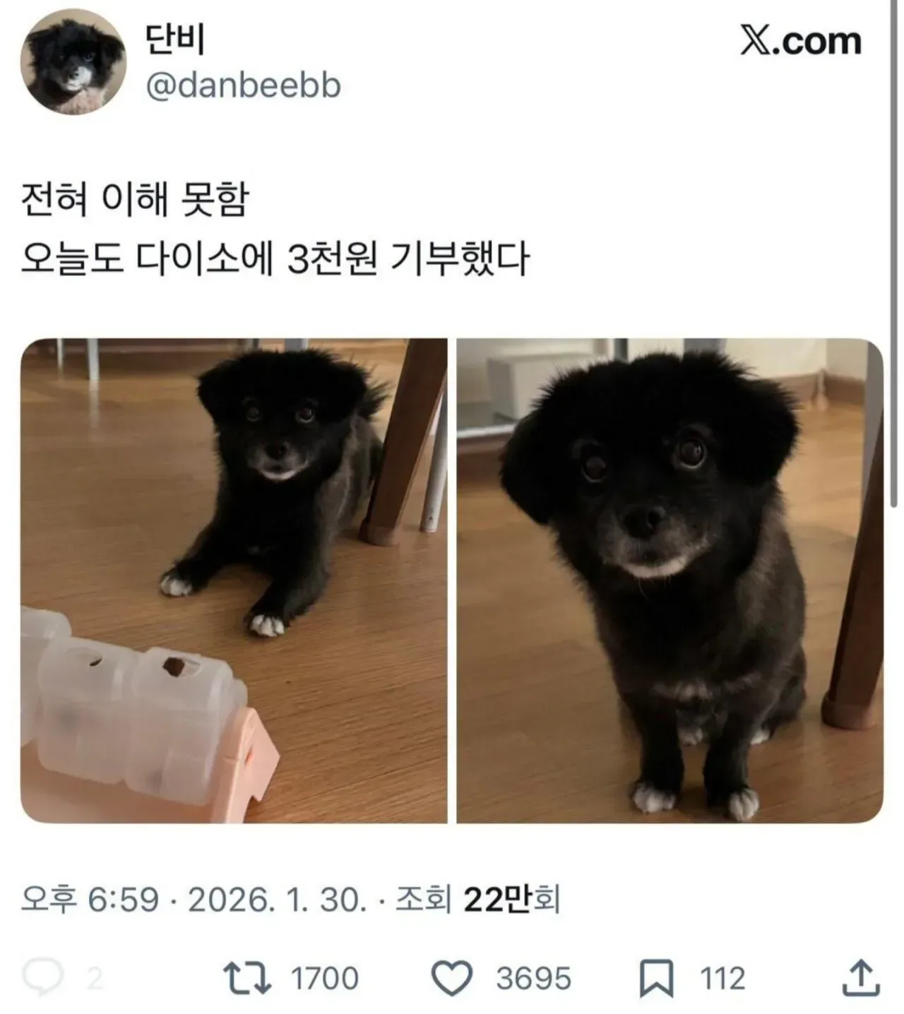 오늘도 다이소에 3천원 기부했다..jpg