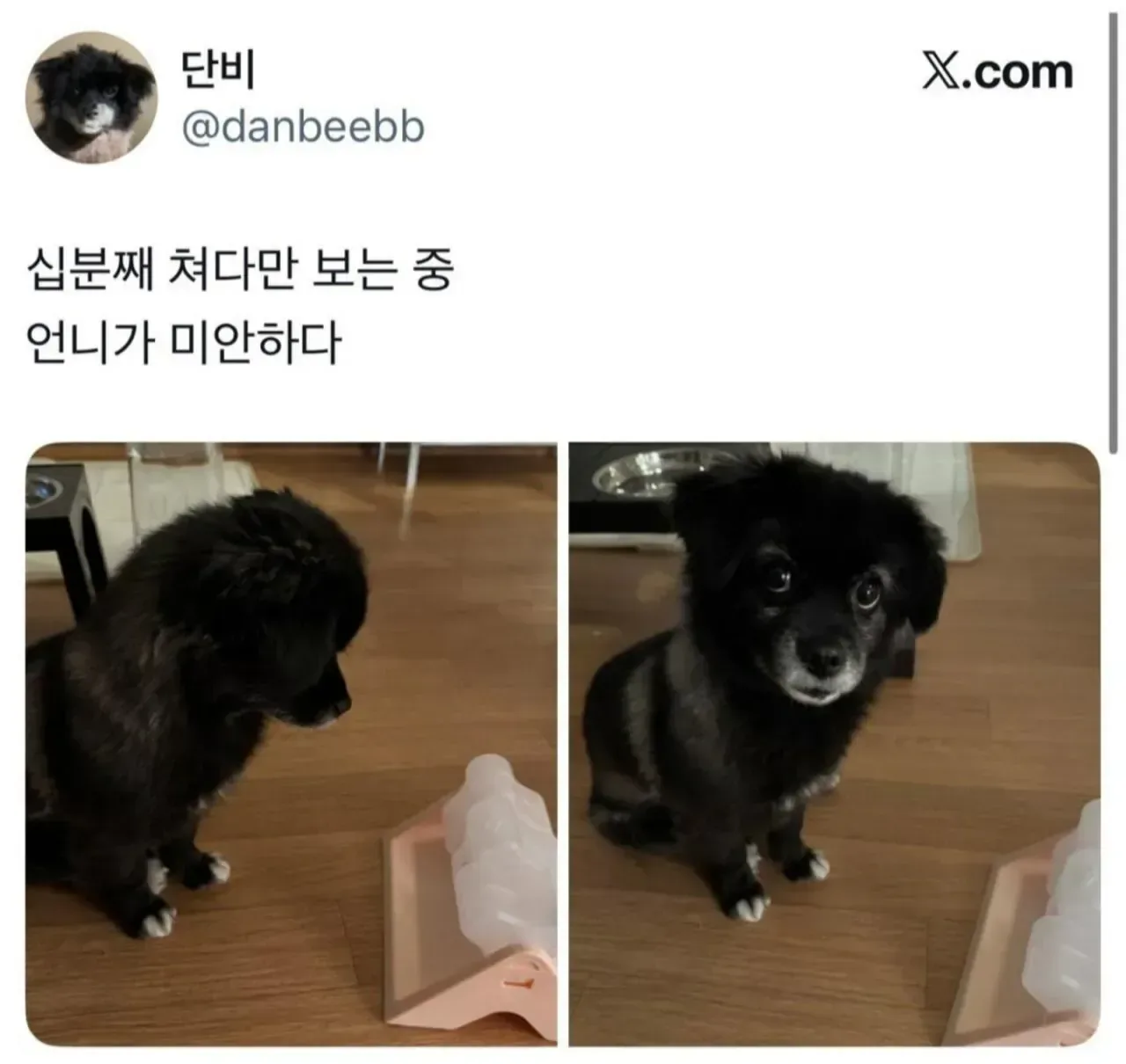 오늘도 다이소에 3천원 기부했다..jpg