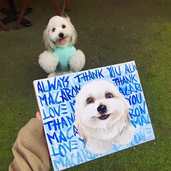연예인들이 그린 그림