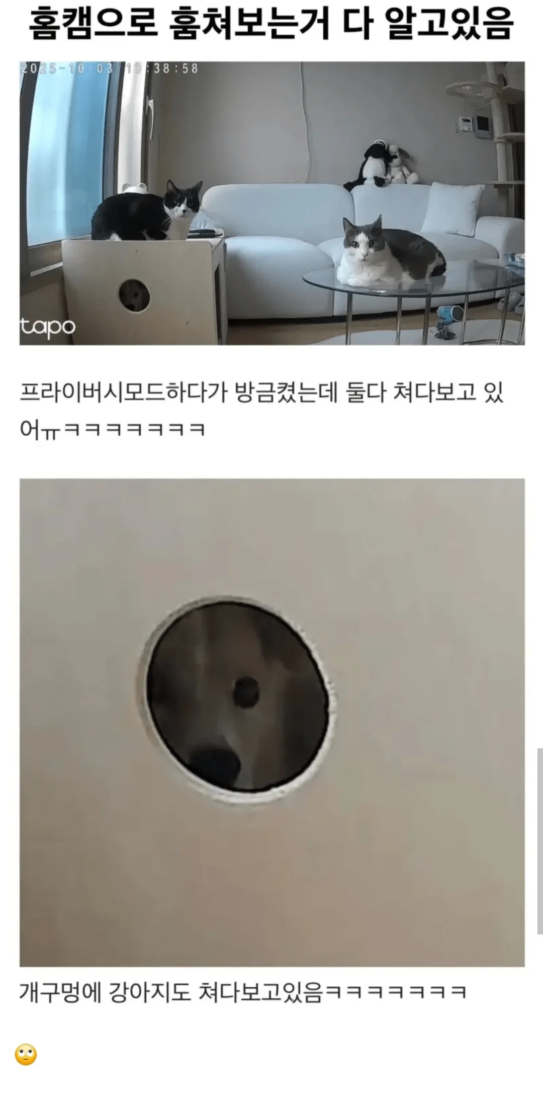 홈캠으로 훔쳐보는거 다 알고있다ㅋㅋㅋㅋ