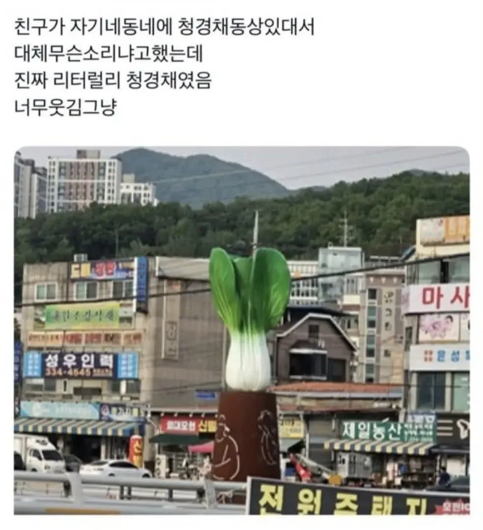 의외로 실존하는 청경채 동상