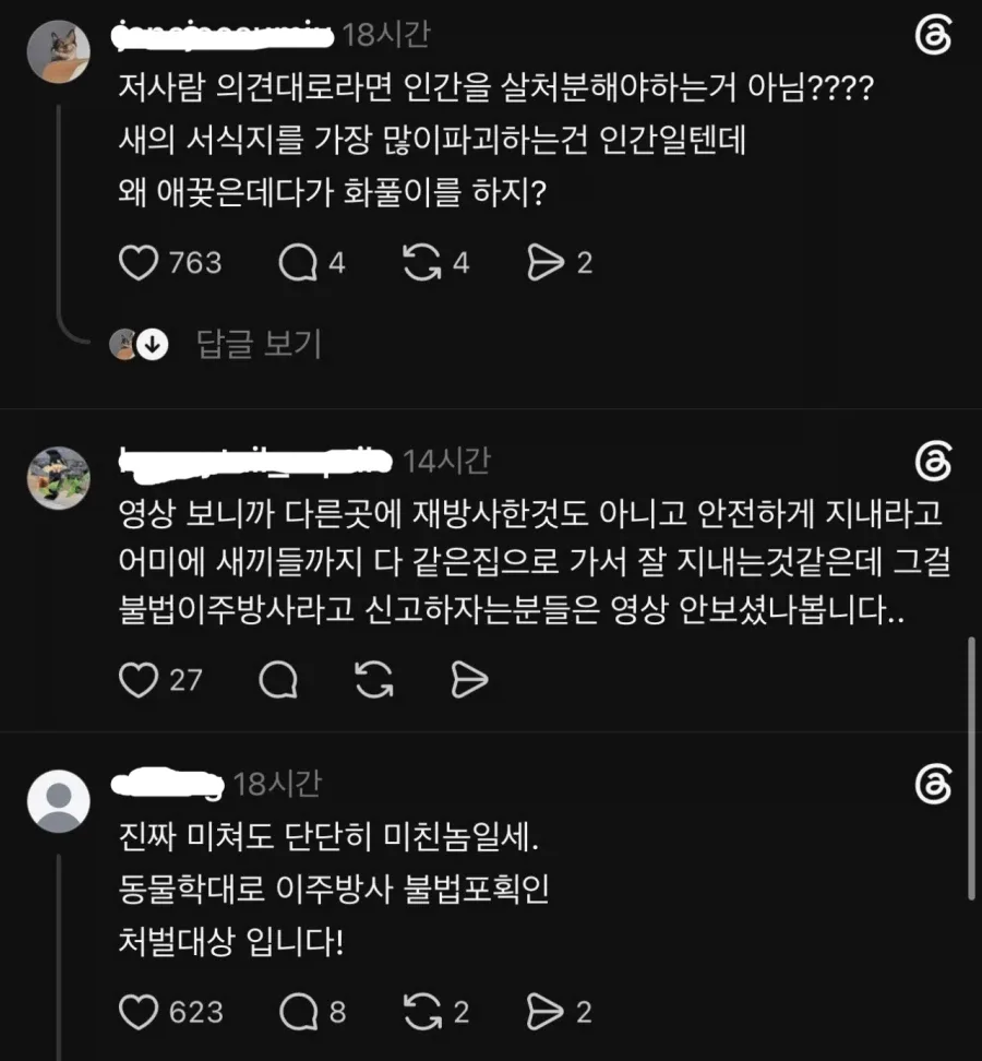 유튜버 새덕후 근황
