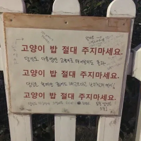 유튜버 새덕후 근황