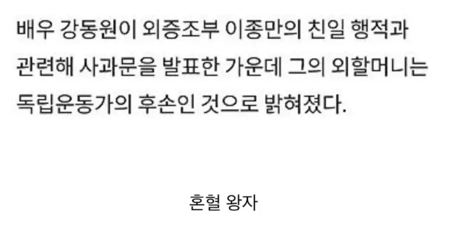 도둑 맞은 독립운동.jpg