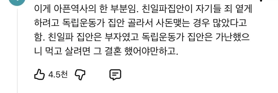 도둑 맞은 독립운동.jpg