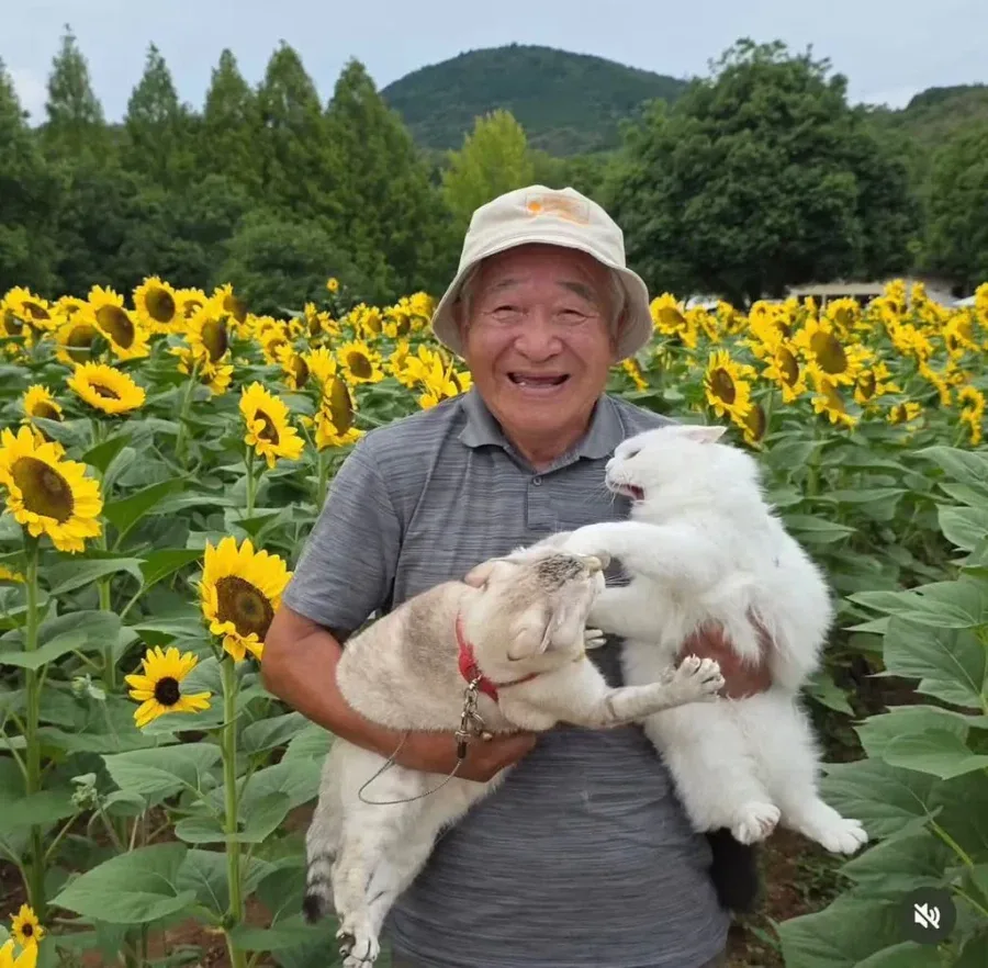 이 할아버지네 고양이들 진짜 개많이 싸움ㅋㅋㅋ