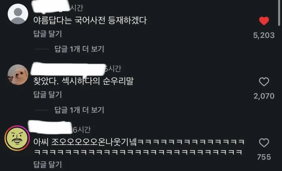 드디어 생긴 “섹시하다”의 순우리말.mp4_2.webp