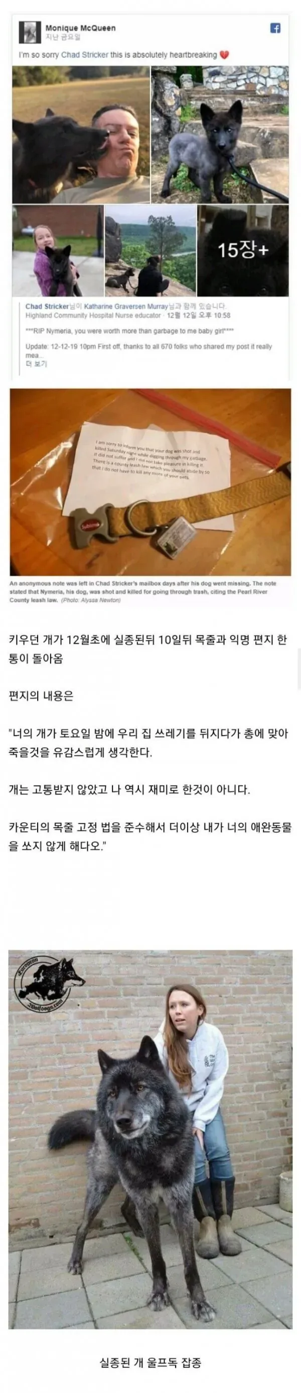 키우던 개가 실종된지 10일만에