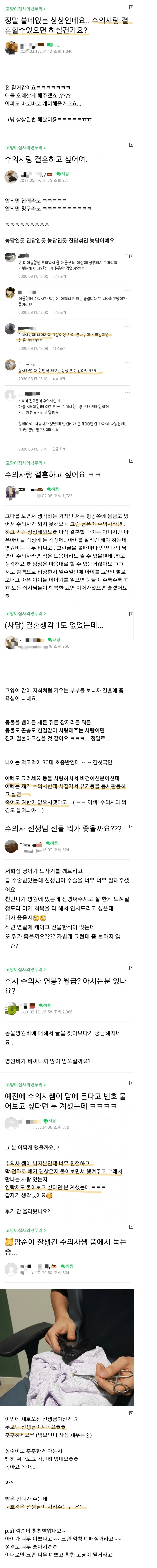 수의사랑 결혼하고 싶은 캣맘