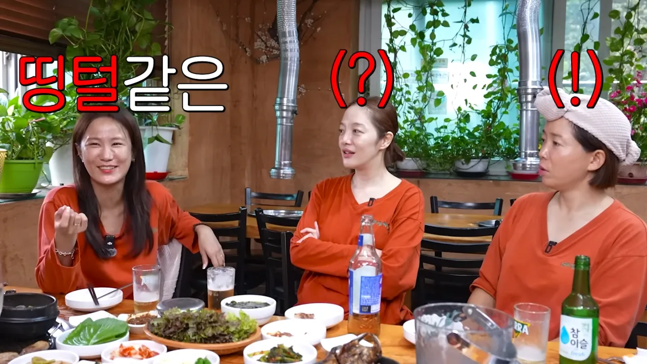 개그우먼 김지민이 카섹스를 안하는 이유 .jpg