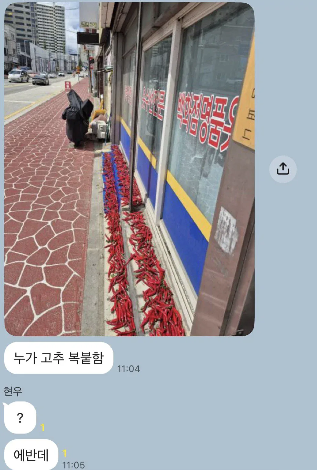 누가 우리 작업실앞에 고추말림
