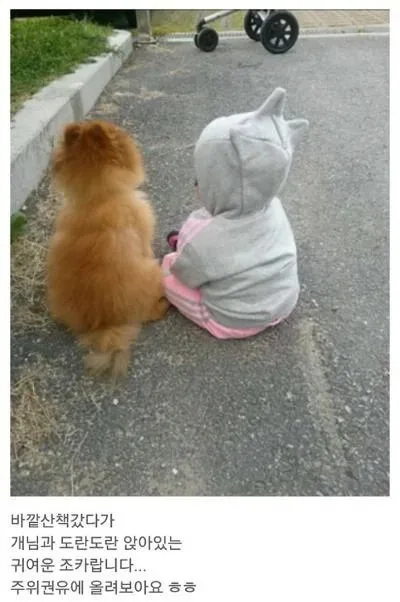 쌍둥이 처럼 닮은 주인과 강아지