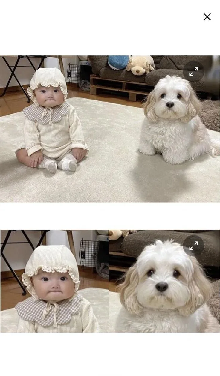 쌍둥이 처럼 닮은 주인과 강아지