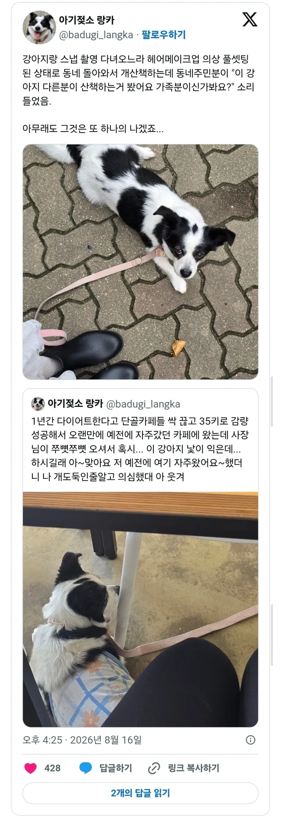 한껏 꾸미고 강아지 산책가면 생기는 일.