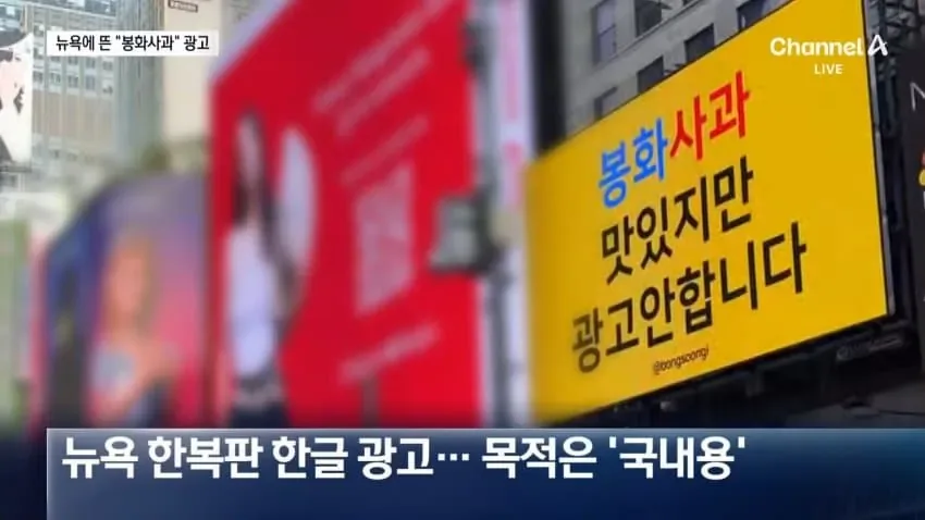 "광고 안합니다"..뉴욕 뜬 역발상 봉화 사과 광고