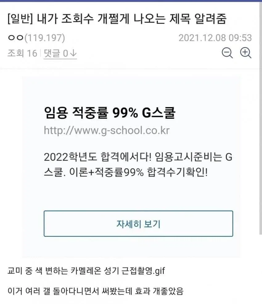 교미 중 색 변하는 카멜레온 성기 근접촬영.gif