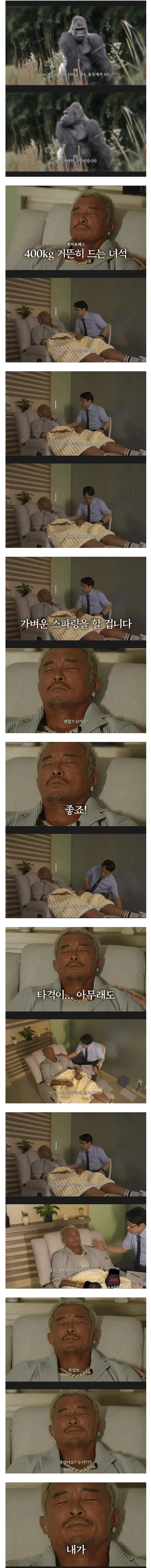 인간이 고릴라하고 싸우면 생기는 일