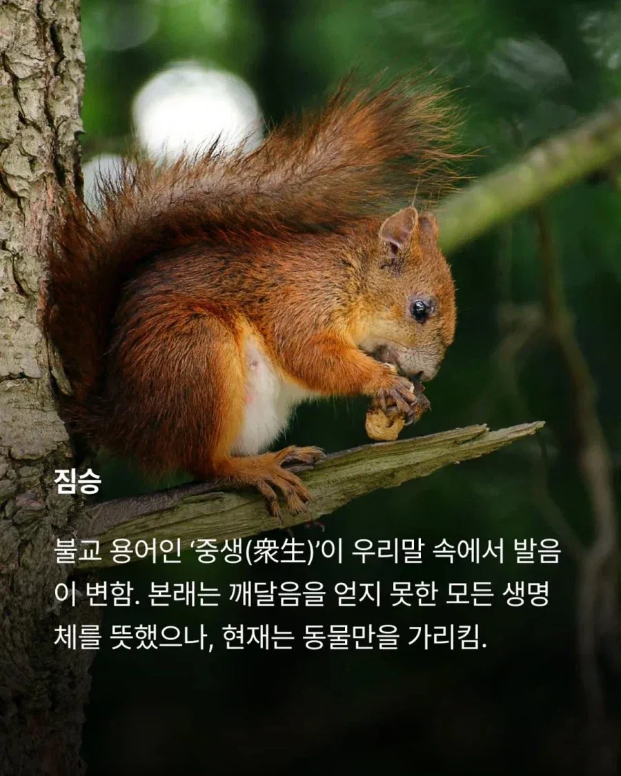 일상에서 흔히 쓰이는 불교용어.jpg