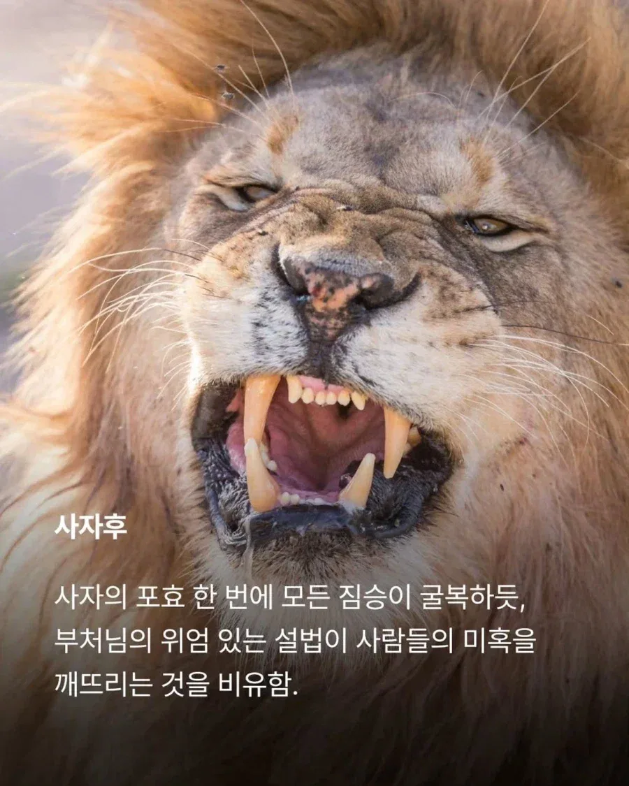 일상에서 흔히 쓰이는 불교용어.jpg