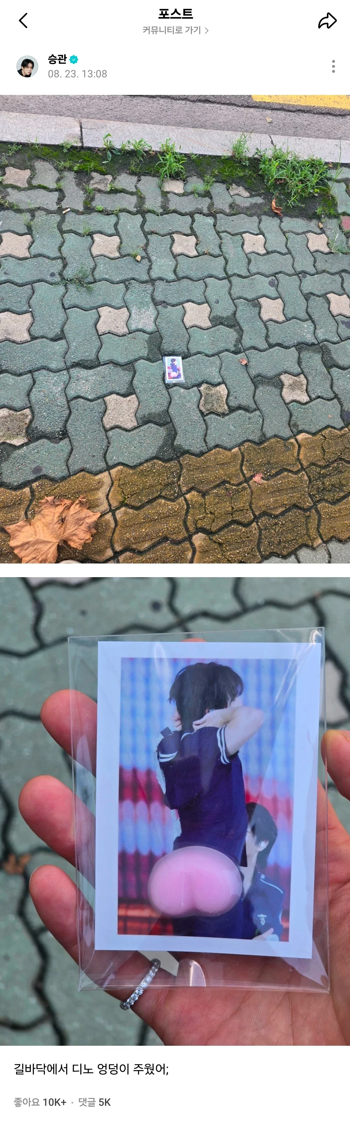 ???: 길바닥에서 디노 엉덩이 주웠어
