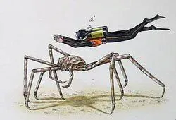 현재 세상에서 가장 큰 갑각류
