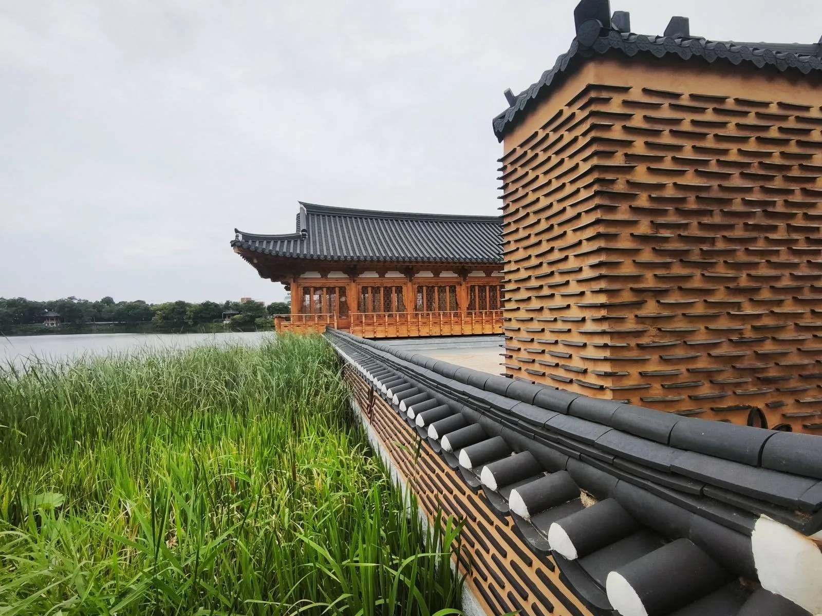 전주 덕진호수 연화정 도서관