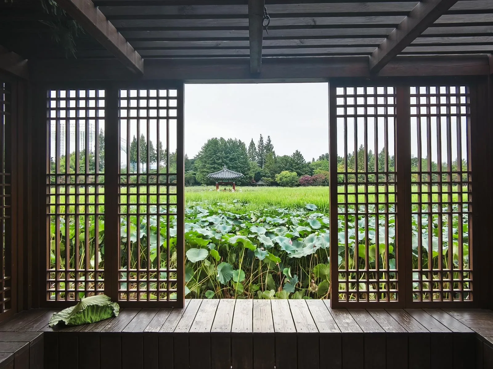 전주 덕진호수 연화정 도서관