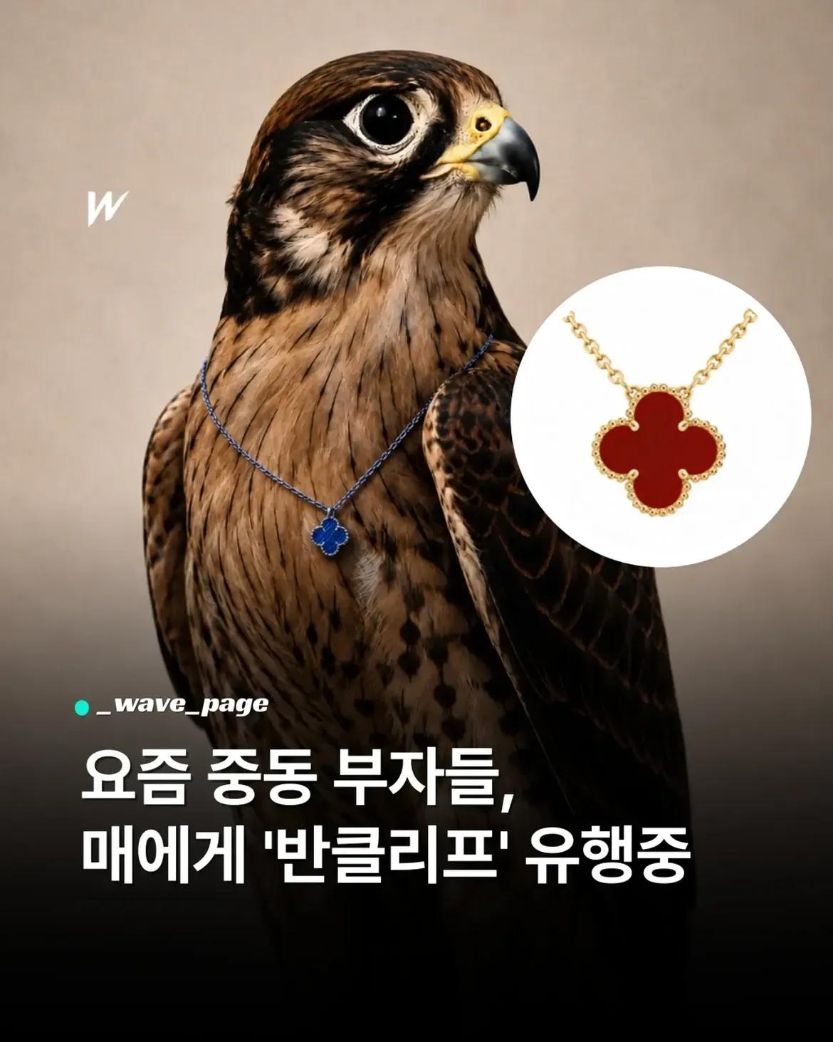 요즘 일부 중동 부자들 사이에서의 트렌드