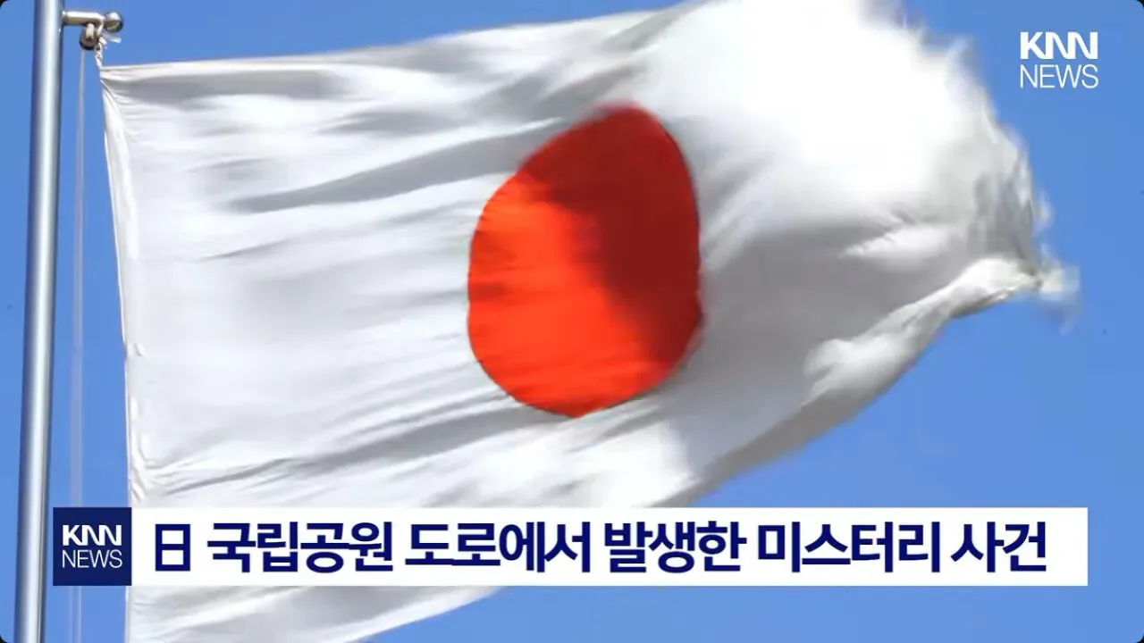 일본에서 난리난 기습 곰맘 시위