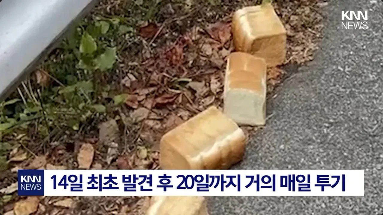 일본에서 난리난 기습 곰맘 시위