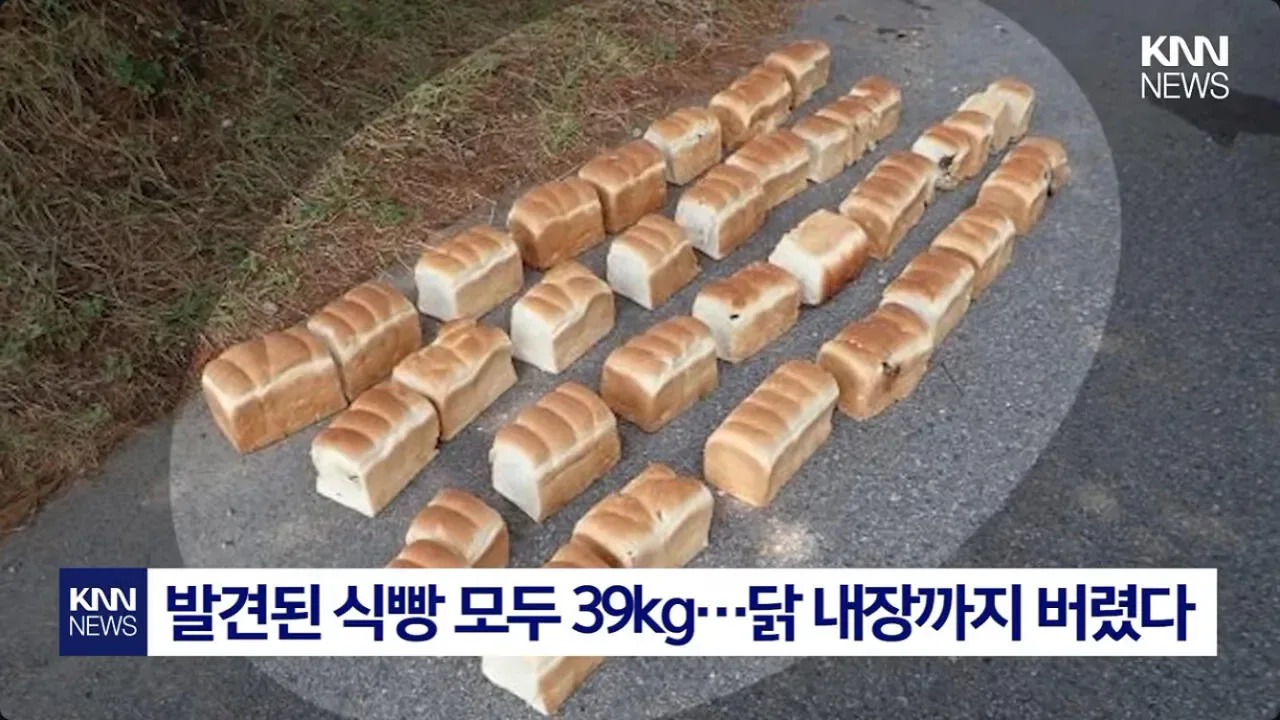 일본에서 난리난 기습 곰맘 시위