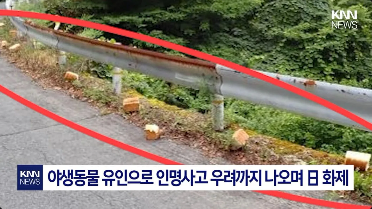 일본에서 난리난 기습 곰맘 시위