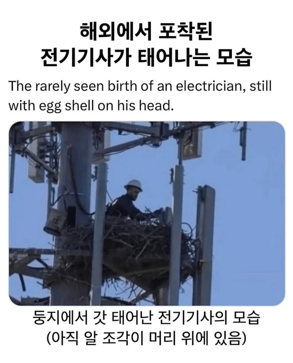 전기 기사가 태어나는 모습