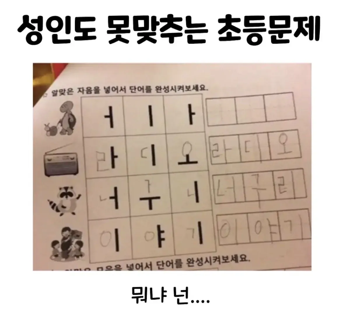 IMG_1241.jpeg 어른도 맞추기 힘든 초등학교 문제