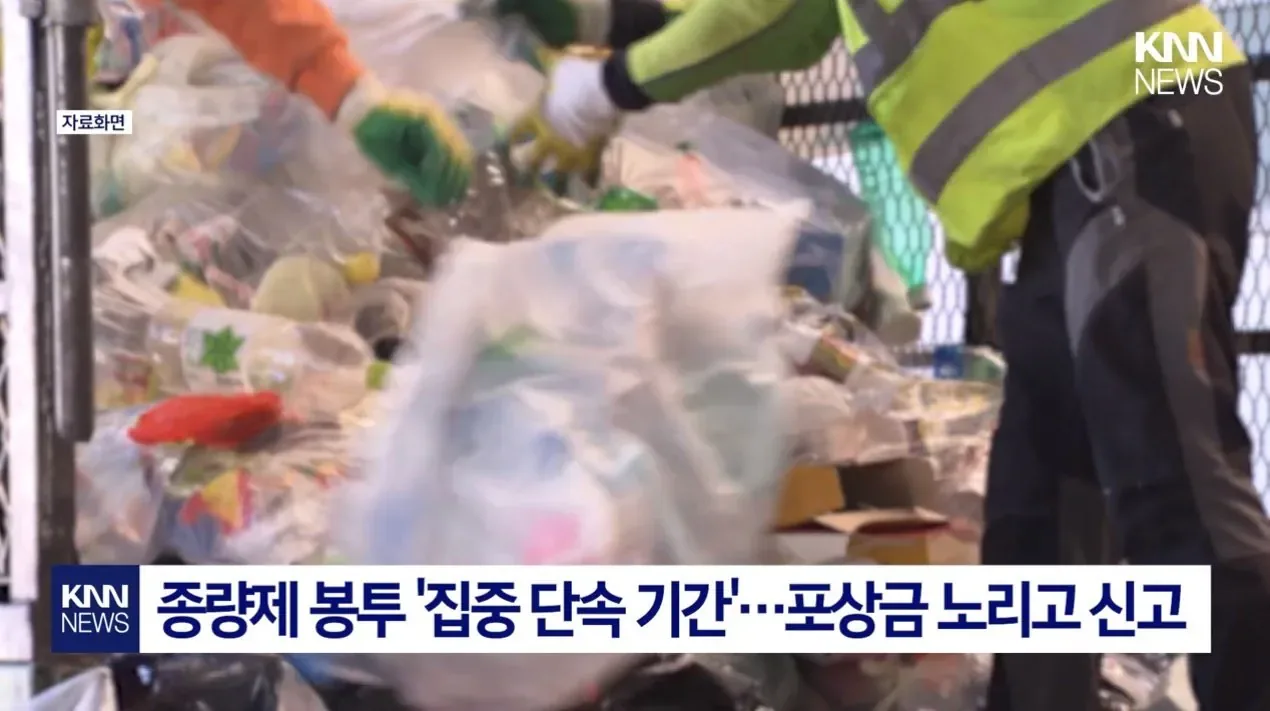 포상금 10만 원 노리고 .. 종량제 봉투 뒤지더니 '찰칵'