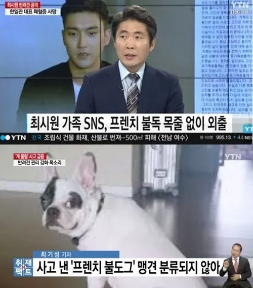 도요토미 히데요시 좋아한다는 연예인
