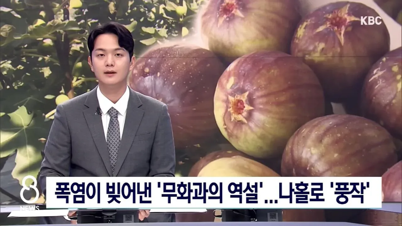 무화과 근황