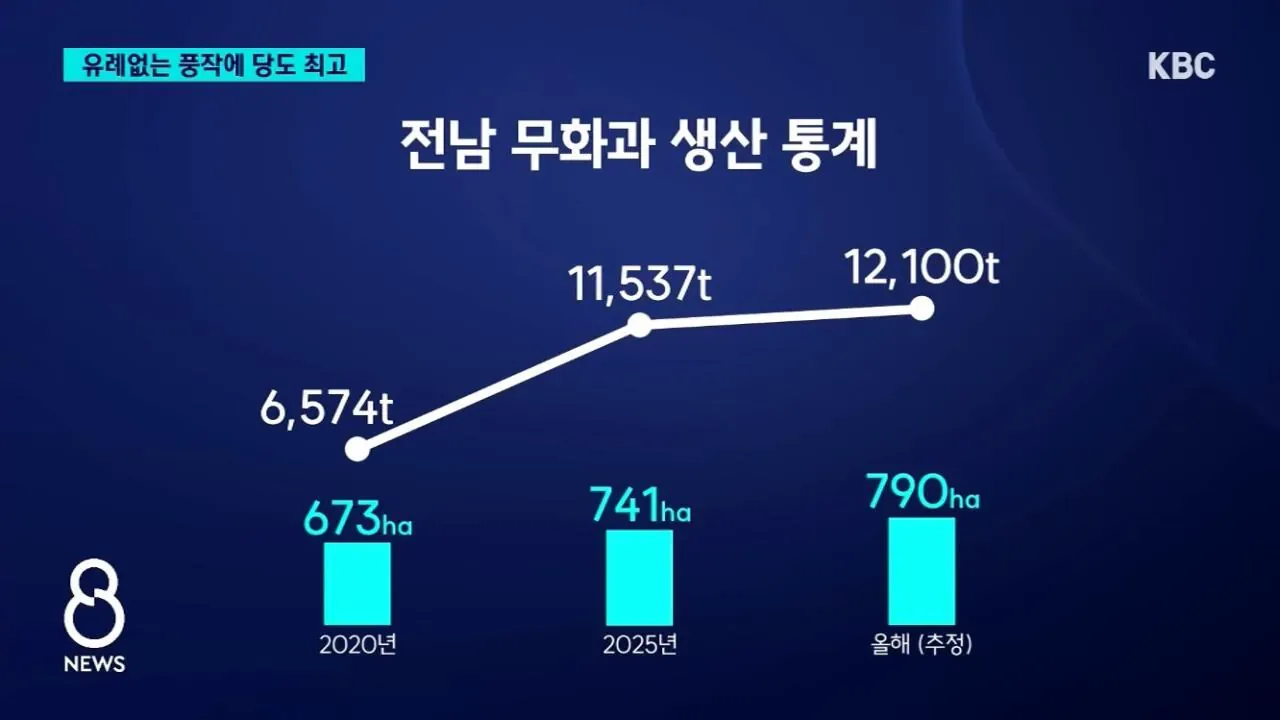 무화과 근황