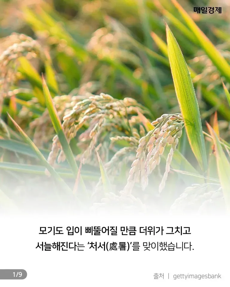 내일 펼쳐질 올해 최고의 마술쇼 .jpg