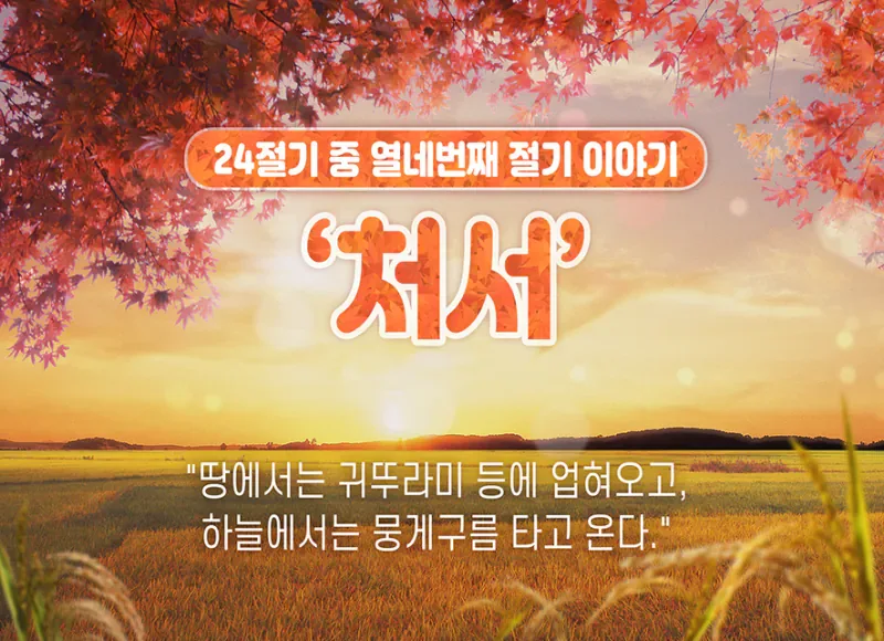 내일 펼쳐질 올해 최고의 마술쇼 .jpg
